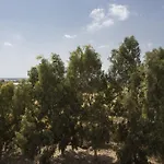 Singularstays Vi
